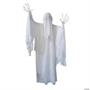 Standing Animated Skeleton Ghost Halloween Decoration 55" x 65 1/2"