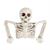 Tabletop White Plastic Half Skeleton Halloween Decoration, 15 3/4" x 10 3/4"