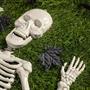 I Told You I Was Sick Tombstone & Skeleton Graveyard Halloween Decorations Set 24 Pc.