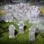 Spooky Graveyard Foam Tombstone Halloween Decorations Set 6 Pc.