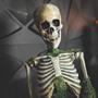 Animated Mossy Skeleton Tabletop Halloween Decoration 9 3/4" x 14 3/4"