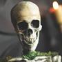 Animated Mossy Skeleton Tabletop Halloween Decoration 9 3/4" x 14 3/4"