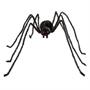 Black Spider with Light-Up Eyes Halloween Decoration 36 1/2 x 61 3/4