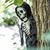 15 3/4" Hanging Waving Skeleton Reaper Creeper Halloween Decoration