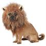 KING OF JUNGLE