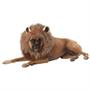 KING OF JUNGLE