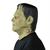 Tinsley Transfers Universal Monsters Frankenstein Latex Mask