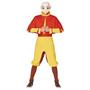 Adult's Avatar: The Last Airbender Aang Costume