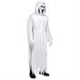 Adult's The Banshee Ghost Costume - Standard