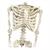 36" Posable Articulated Skeleton Halloween Decoration