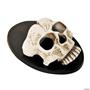 6\ Skull Wall Sconce Halloween Dcor