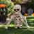 4FT SKELETON GROUND BREAKER