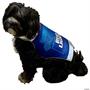 Bud Light Can Dog Costume