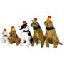 Fireball Bottle Dog Costume