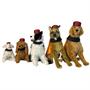 Southern Comfort Bottle Dog Costume