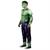 Adults Qualux Marvel Hulk Jumpsuit Costume