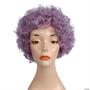 FD Curly Clown Wig