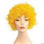 FD Curly Clown Wig