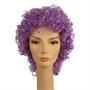 Deluxe Long Curly Clown Wig