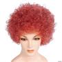 Bargain Afro Wig