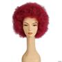 Discount Afro Wig