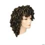 Special Spring Curl Wig
