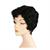 E Taylor Wig