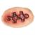 SawT Jigsaw Puzzle Piece Prosthetic Appliance Kit