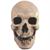 Trick or Treat Studios Antique Skull Mask Collectible