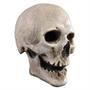 Trick or Treat Studios Antique Skull Mask Collectible