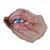 HalloweenT (2018) Michael Myers Dead Eye Prosthetic Appliance