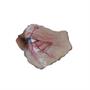 HalloweenT (2018) Michael Myers Dead Eye Prosthetic Appliance