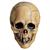 Adults Mabry Monsters Aged Voodoo Skull Overhead Vinyl Mask