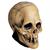 Adults Mabry Monsters Aged Voodoo Skull Overhead Vinyl Mask