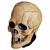 Adults Mabry Monsters Aged Voodoo Skull Overhead Vinyl Mask