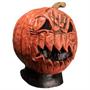 GoosebumpsT Attack of the Jack-O'-Lanterns Mask Costume Accessory