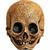 Adults Illusive Concepts Cranial Skull Overhead Latex Mask