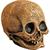 Adults Illusive Concepts Cranial Skull Overhead Latex Mask