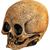 Adults Illusive Concepts Cranial Skull Overhead Latex Mask
