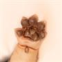 Asia Eriksen's WerePups Toby the WerePup Collectible, 18"