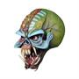 Iron Maiden The Final Frontier Cover Eddie Overhead Mask