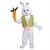 Easter Rabbit Bunny Male Delx Costume