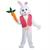 Easter Rabbit Bunny Male Delx Costume