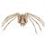 Skeleton Spider Prop