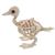 Skeleton Duck Bonez Prop