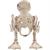Skeleton Duck Bonez Prop
