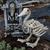 Skeleton Duck Bonez Prop