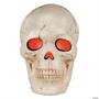 Animated Giant Plastic Skull Halloween Decoration, 19 3/4"