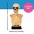 Skeleton Bust on Stand Halloween Tabletop Decoration, 16"