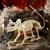 Plastic Rat Skeleton Halloween Tabletop Decoration 24" x 7"